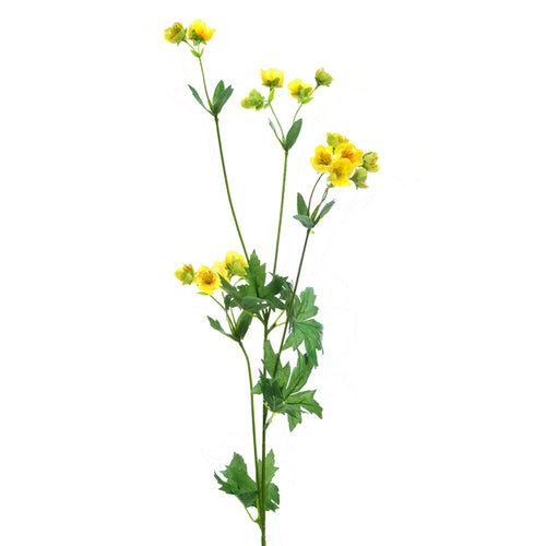 79cm Artificial Buttercup Spray Yellow