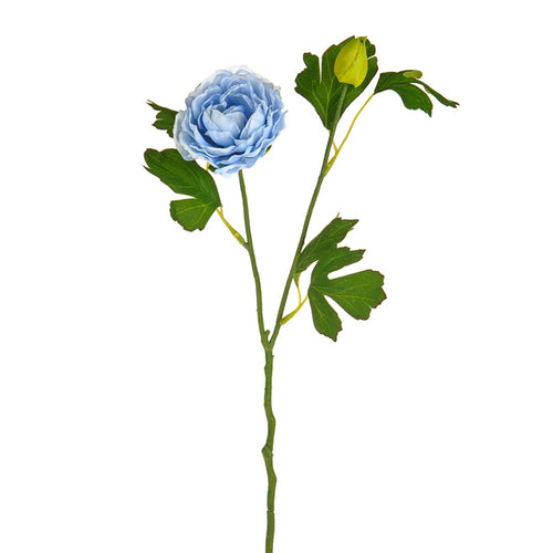 Skye Blue Ranunculus Spray 40cm