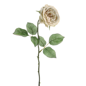 56cm Cream Rose Stem
