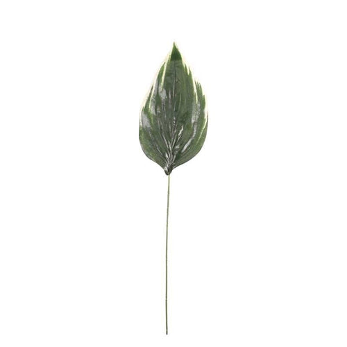 62cm Hosta Leaf - Artificial Foliage Silk Leaf Wedding Craft Greenery Florists Arrangement