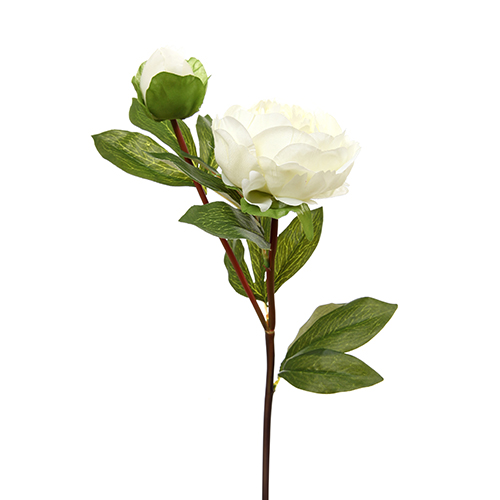 Artificial Ivory Peony 77 cm Stem