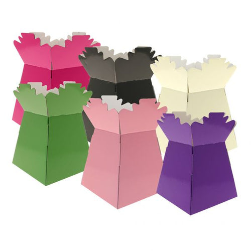 30 x Random Selection Living Vase - Aqua Box - LARGE ITEM