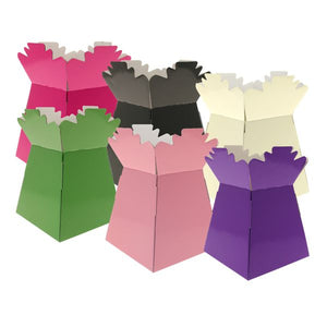 30 x Random Selection Living Vase - Aqua Box - LARGE ITEM