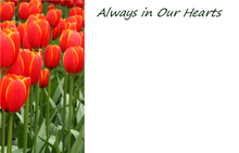 Load image into Gallery viewer, Small Tribute Message Card Cards - Variety of Messages.