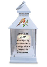 Load image into Gallery viewer, Memorial Light Up Lantern - Robin Candle Graveside Memory Remembrance