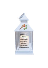 Load image into Gallery viewer, Memorial Light Up Lantern - Robin Candle Graveside Memory Remembrance