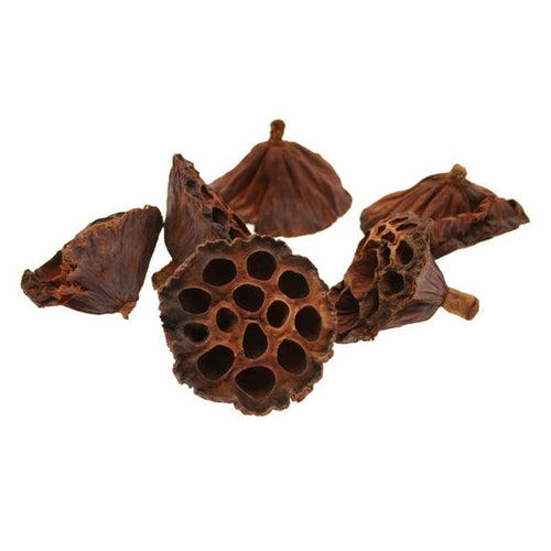 8-12cm Medium Lotus Heads (x20) - Floral Christmas Wreath Decoration