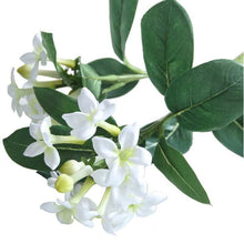 Load image into Gallery viewer, 60cm White Stephanotis Artificial Single Stem - 2 Heads