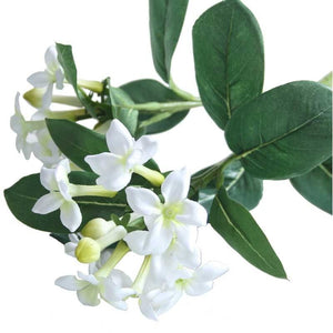 60cm White Stephanotis Artificial Single Stem - 2 Heads