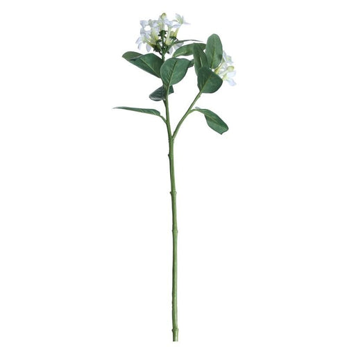 60cm White Stephanotis Artificial Single Stem - 2 Heads