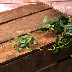 70cm Oriental Ruscus Green - Greenery Artificial Leaf Spray