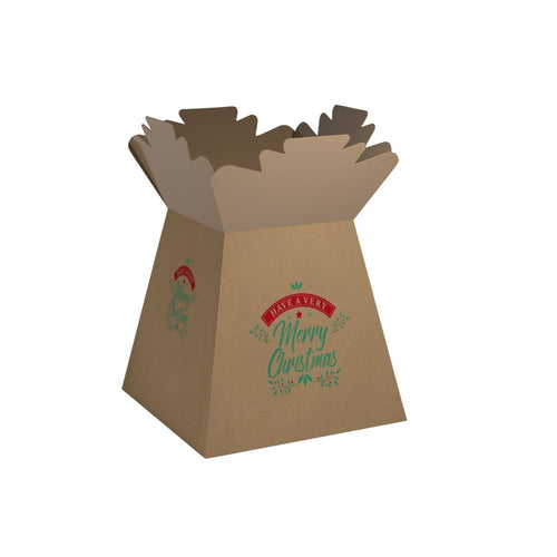 30 x Natural Merry Christmas Living Vase - Aqua Box