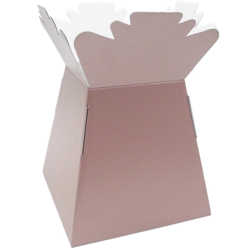 30 x Rose Gold Living Vase - Aqua Box