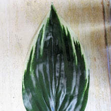 Load image into Gallery viewer, 62cm Hosta Leaf - Artificial Foliage Silk Leaf Wedding Craft Greenery Florists Arrangement