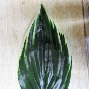 62cm Hosta Leaf - Artificial Foliage Silk Leaf Wedding Craft Greenery Florists Arrangement